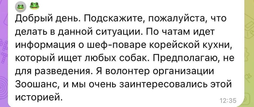 Волонтеры бьют тревогу: по белорусским чатам расходится информация о шеф-поваре корейской кухни, который «ищет любых собак»