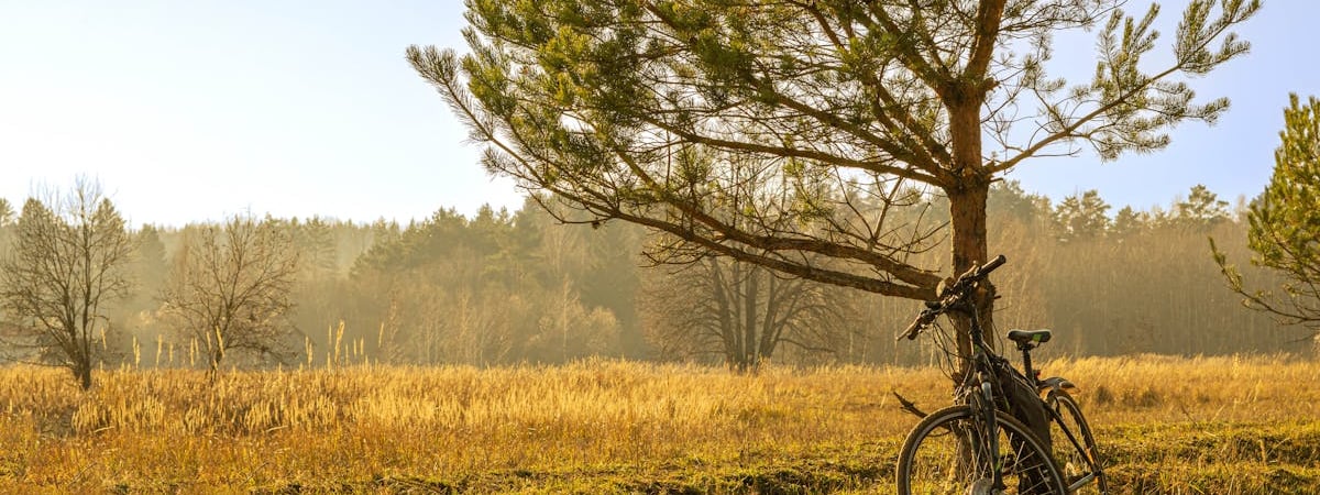 В Беларуси выбирают площадку под строительство СПГ-завода