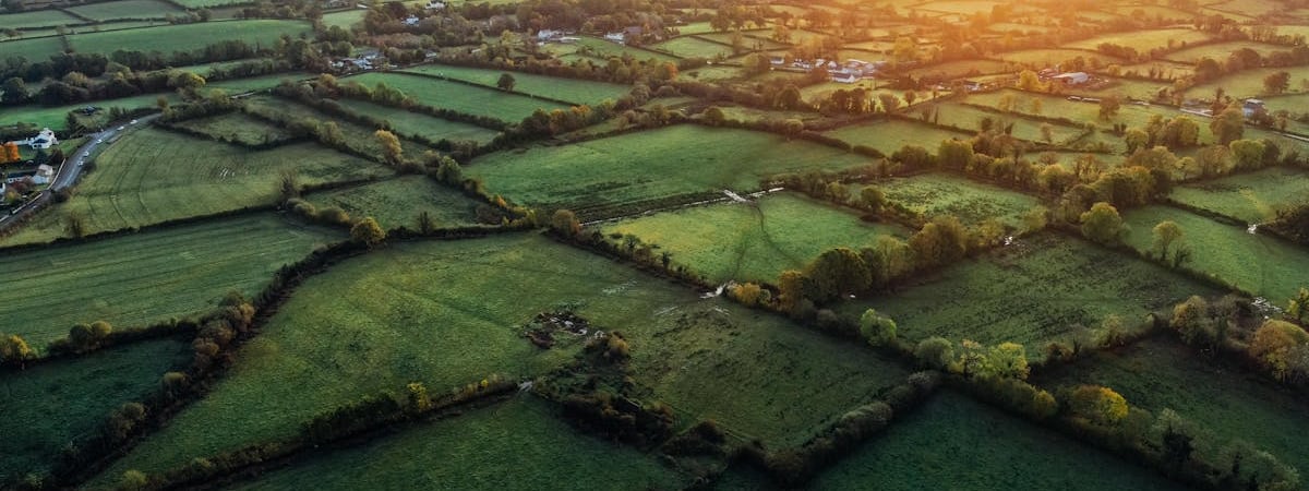 Первые литовские FPV-дроны передадут Украине в сентябре