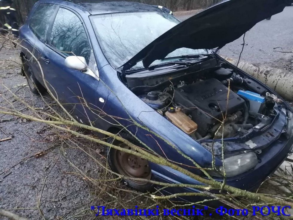 Дерево упало на проезжающий автомобиль под Ляховичами