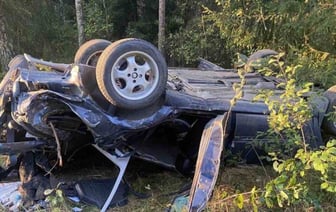 Все произошло из-за лося. В Брестской области перевернулся Volkswagen