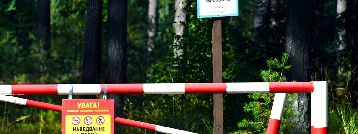 «Наша цель — не наказать» — В лесах Гродненщины начали устанавливать QR-коды. Зачем? — Фото