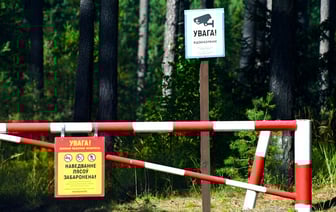 «Наша цель — не наказать» — В лесах Гродненщины начали устанавливать QR-коды. Зачем? — Фото