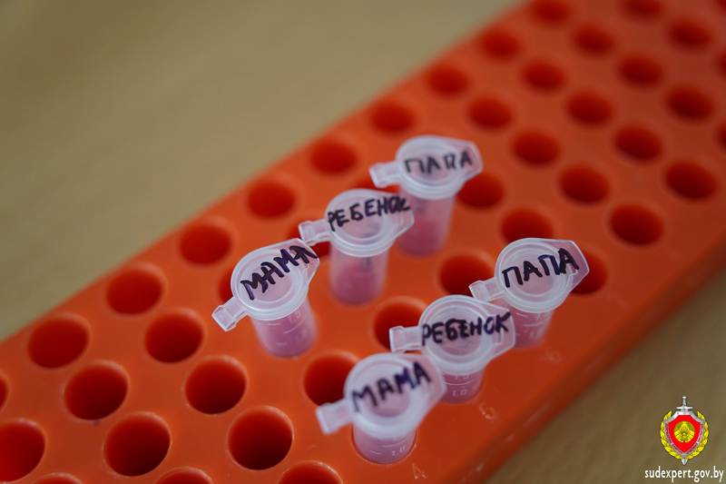 Житель Пинского района не был уверен, что дети — его. Что показал тест ДНК?