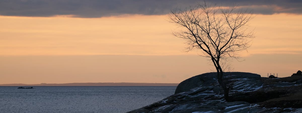 В Карибском море произошло самое мощное за четыре года землетрясение