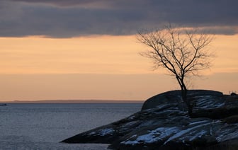 В Карибском море произошло самое мощное за четыре года землетрясение