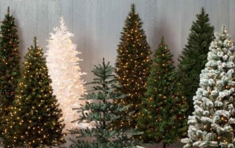 Снова елку не продали белоруске