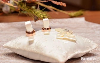 Загсы Гомеля приглашают на бесплатную консультацию