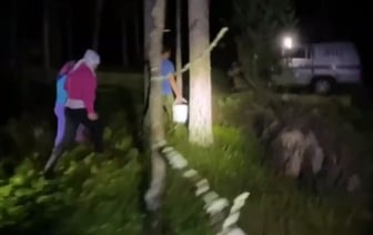 Семья потерялась в лесу под Молодечно