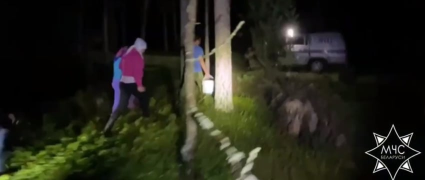 Семья потерялась в лесу под Молодечно