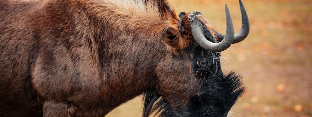 Нацбанк Украины предложил «дерусифицировать» копейки