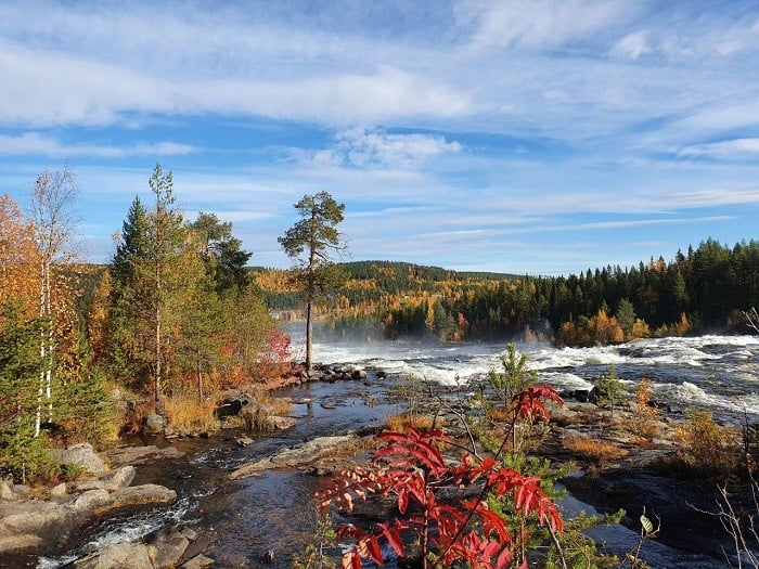 Горная река в Швеции швед шведское