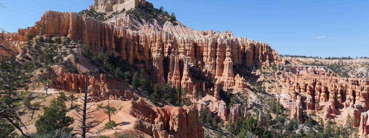 В Сейме Литвы одобрили предложение лишать белорусов ВНЖ при частом посещении родины