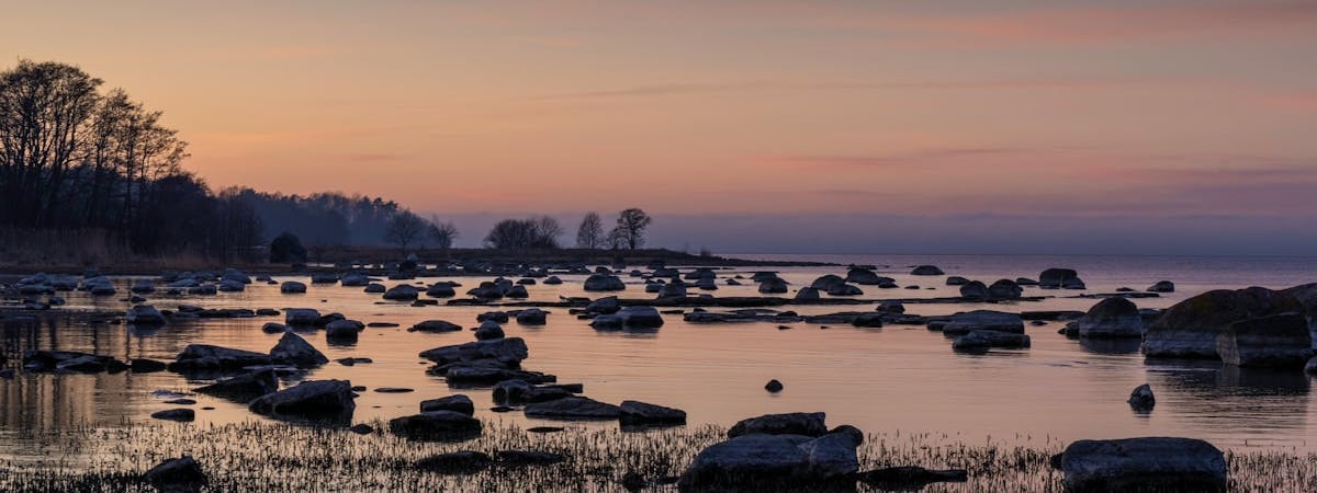 В Эстонии граждане Беларуси лишатся права голоса на местных выборах