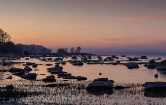 В Эстонии граждане Беларуси лишатся права голоса на местных выборах