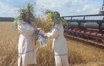 «Так рано жатву еще не начинали». Репортаж из Брестской области