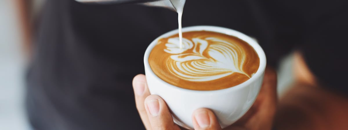 «С мягкой текстурой пюре на сливках» — В Минске начали делать «картофельный раф». Сколько стоит?