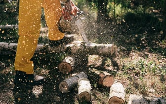 «Чистыми три тысячи рублей» — Белорусский министр потребовал повысить зарплаты этой категории работников