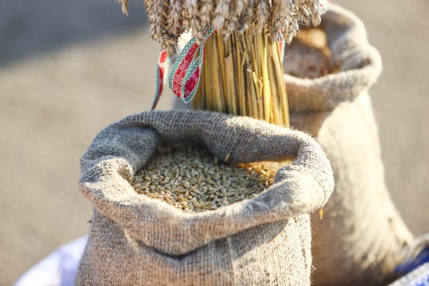 С любовью к земле и людям, или Как в Жабинковском районе женщина руководит целым хозяйством