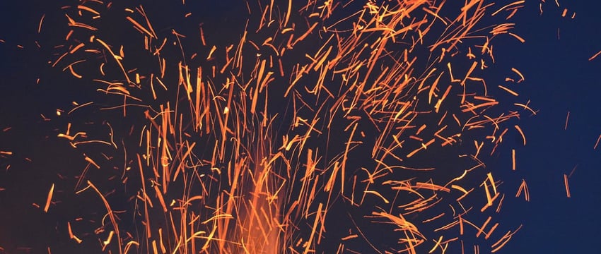 Не руби без ордера. В Полоцке рассказали, как и где заготовить дрова