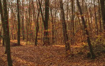 В Испании выдача "золотых виз" для инвесторов прекращается с апреля