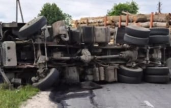 Лесовоз насмерть сбил 15-летнюю девочку под Рогачевом