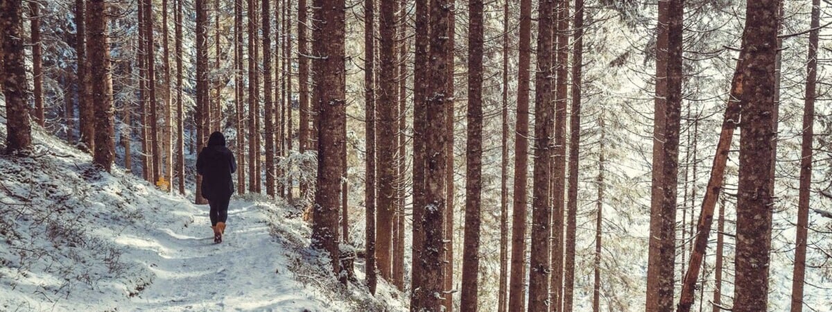 Жителей одного района Брестчины предупредили об «опасной зоне» на весь февраль. Где запретили ходить?