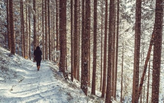 Жителей одного района Брестчины предупредили об «опасной зоне» на весь февраль. Где запретили ходить?