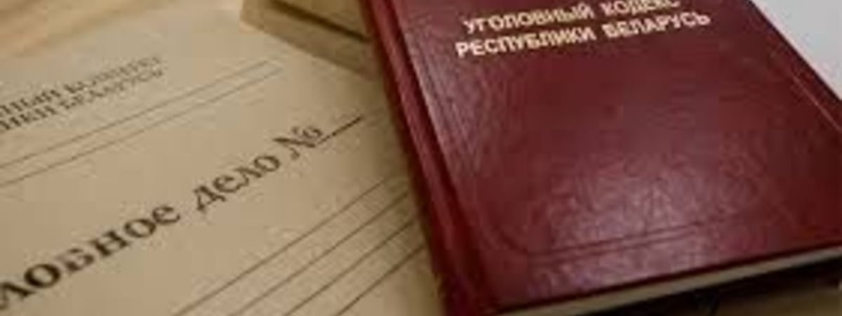 В Уголовный кодекс Беларуси хотят добавить статьи о бывшем президенте