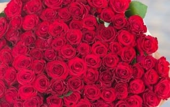 Обманутая жительница Брестской области