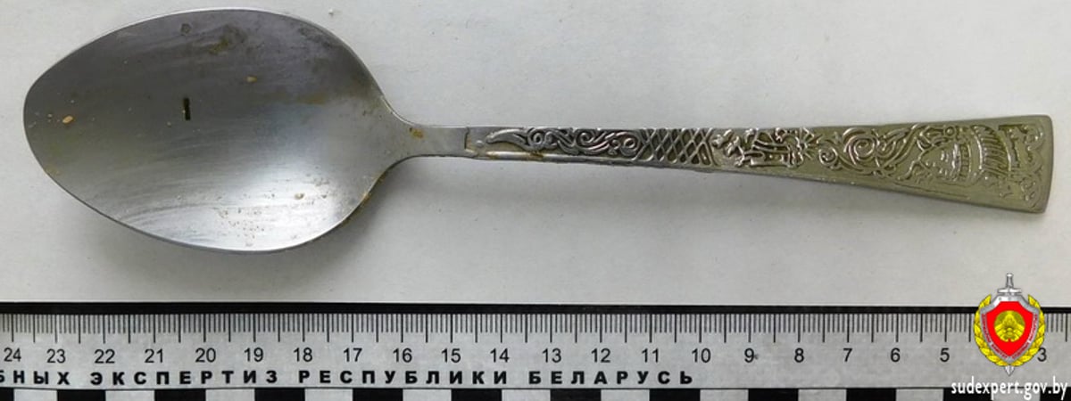 В Бресте раскрыть серию краж на дачах помогла столовая ложка. Как?