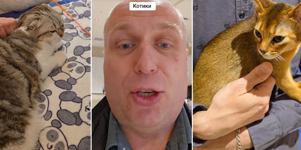 Жена не разрешила белорусу завести кошечку. На его защиту встал весь TikTok