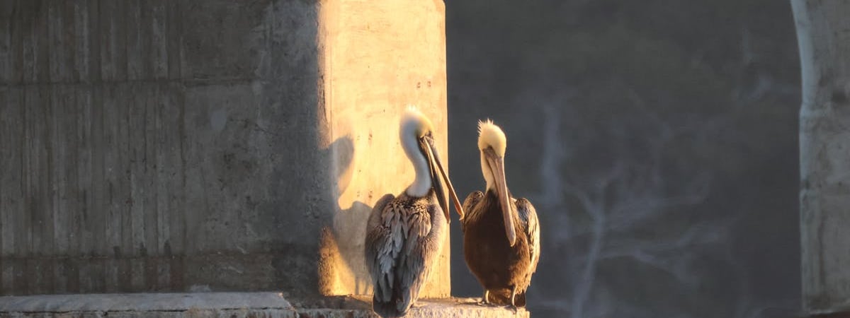 США выделят Польше $11 млрд на военные нужды