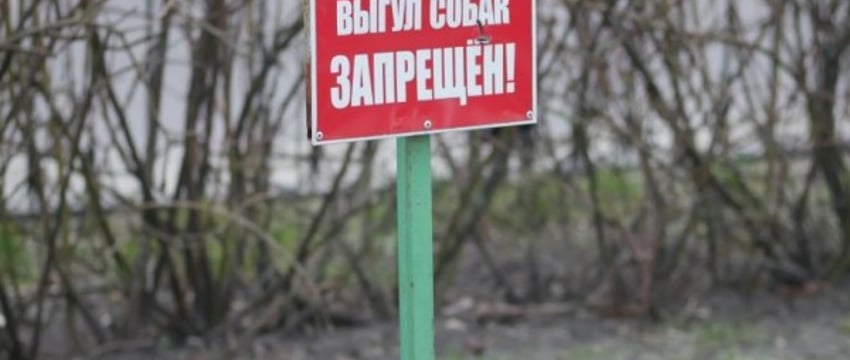 Участковый инспектор напомнил правила выгула собак в городе