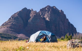Водитель погиб в горящем автомобиле в Свислочском районе