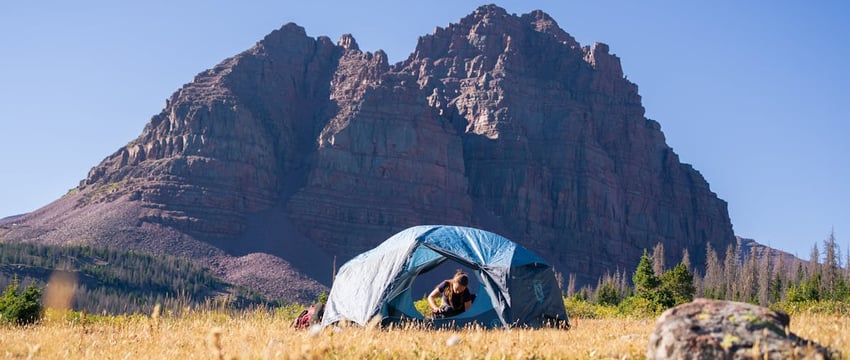 Водитель погиб в горящем автомобиле в Свислочском районе