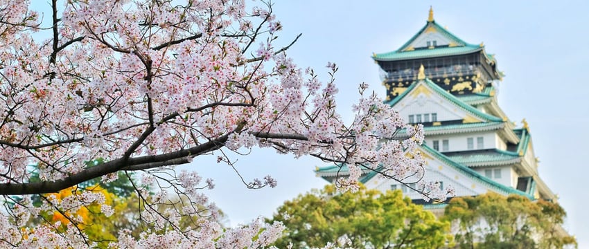 Новый сезон в парке культуры и отдыха Новополоцка