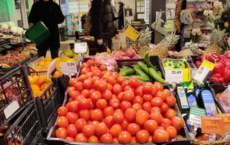 Огурцы – до 8,65, помидоры – до 38,95 за кило. Как изменились цены на эти овощи в Беларуси за месяц и год?