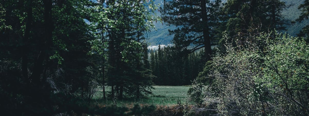 Деятельность китайской компании TikTok в Канаде прекращается