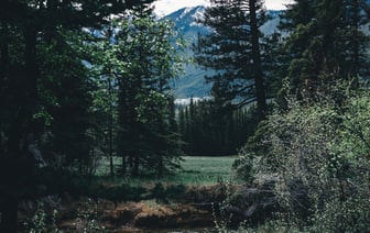 Деятельность китайской компании TikTok в Канаде прекращается