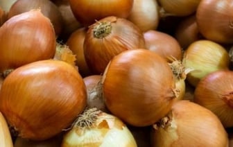 Фермерское хозяйство в Брестской области получило несколько штрафов за цены на лук