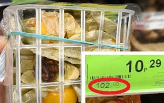 В белорусских магазинах заметили «китайскую ягоду» по 103 рубля за кг. Стоит ли покупать «корзинки с одной шелухой»? — Фото