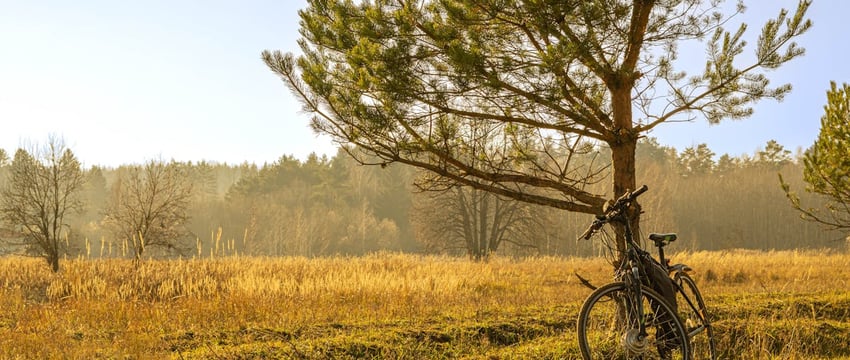 Зампред облисполкома побывал на строительных объектах Полоцка