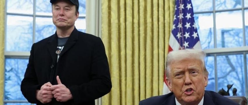 В США 14 штатов подали иск против Трампа и Маска