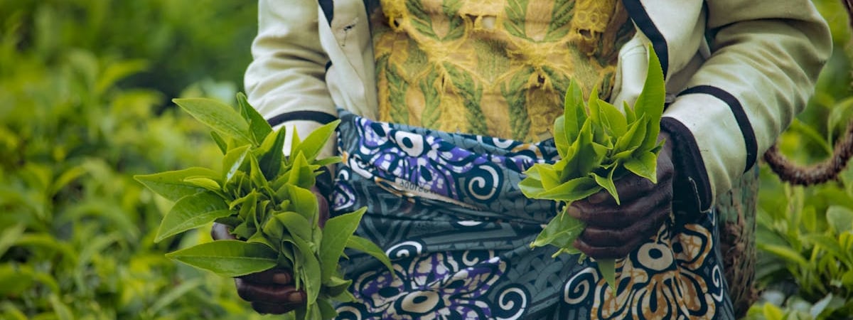 В Сербии десятки тысяч людей снова протестовали из-за трагедии на вокзале