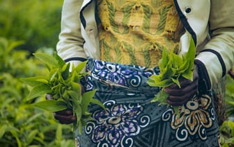 В Сербии десятки тысяч людей снова протестовали из-за трагедии на вокзале