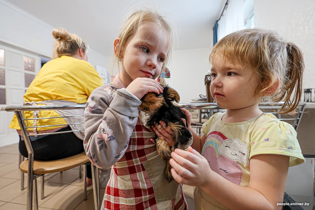 Как живет семья из Брестской области, в которой 15 детей