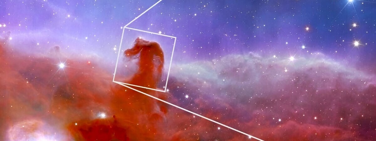 Туманность "Конская Голова" в деталях: видео от телескопа "Джеймс Уэбб"