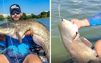 В Чижовском водохранилище минчанин поймал «кабанчика»-сома весом в 15 килограммов — Видео