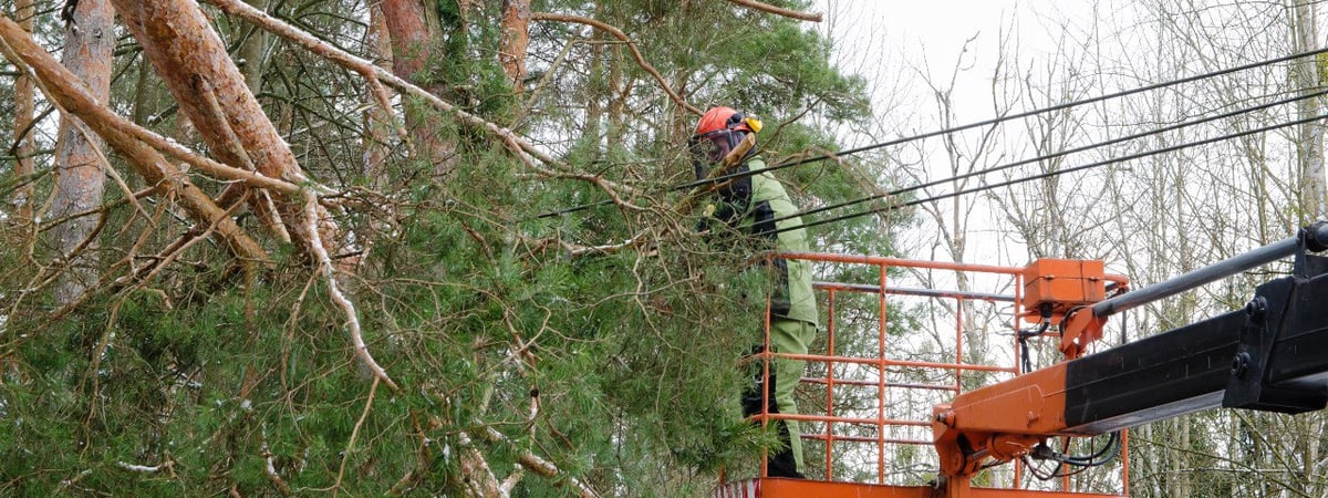 В Гродненской области из-за снега остались без электричества несколько десятков деревень